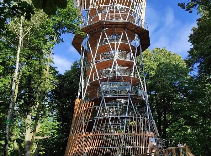 Pod Jalowcem Gory Sowie 533-543-732 Jedlina-Zdroj